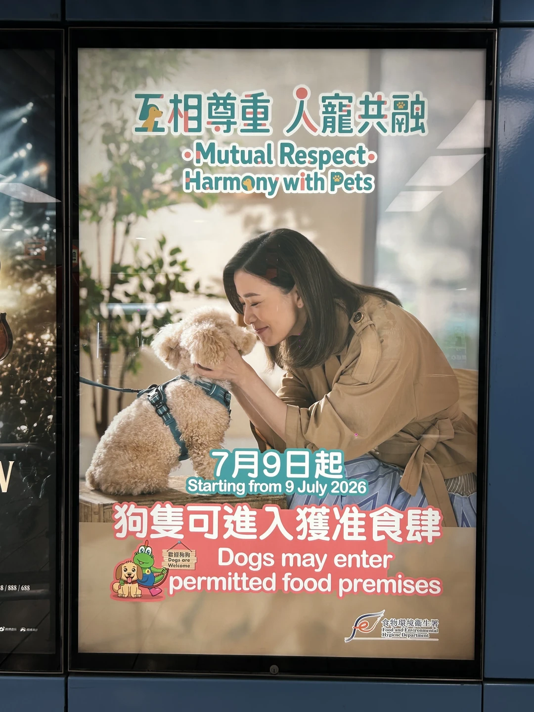 宠物友好城市，分寸感永远排在第一位‼️
