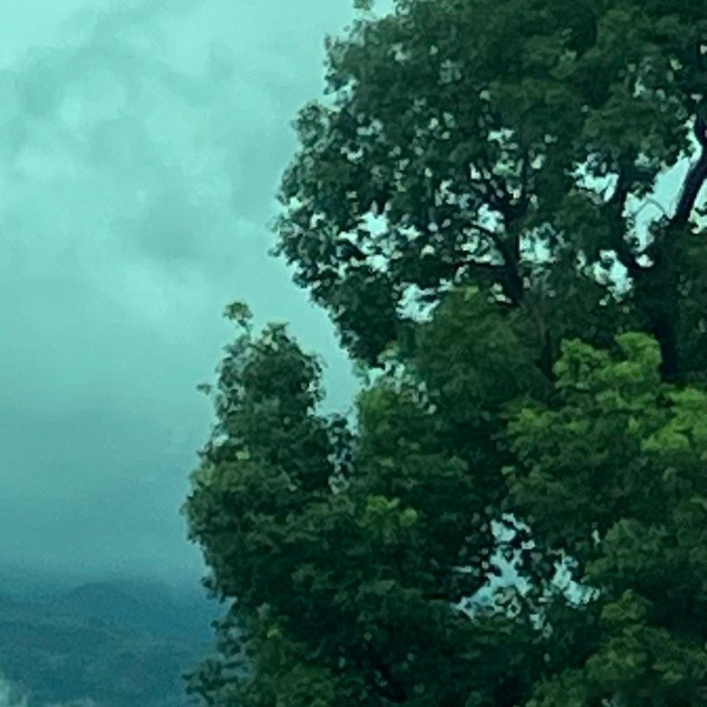 雨罢青山出，云栖半岭生。台风天前后山水天空比平常好看。准备到浙浙旅游的台风后速来