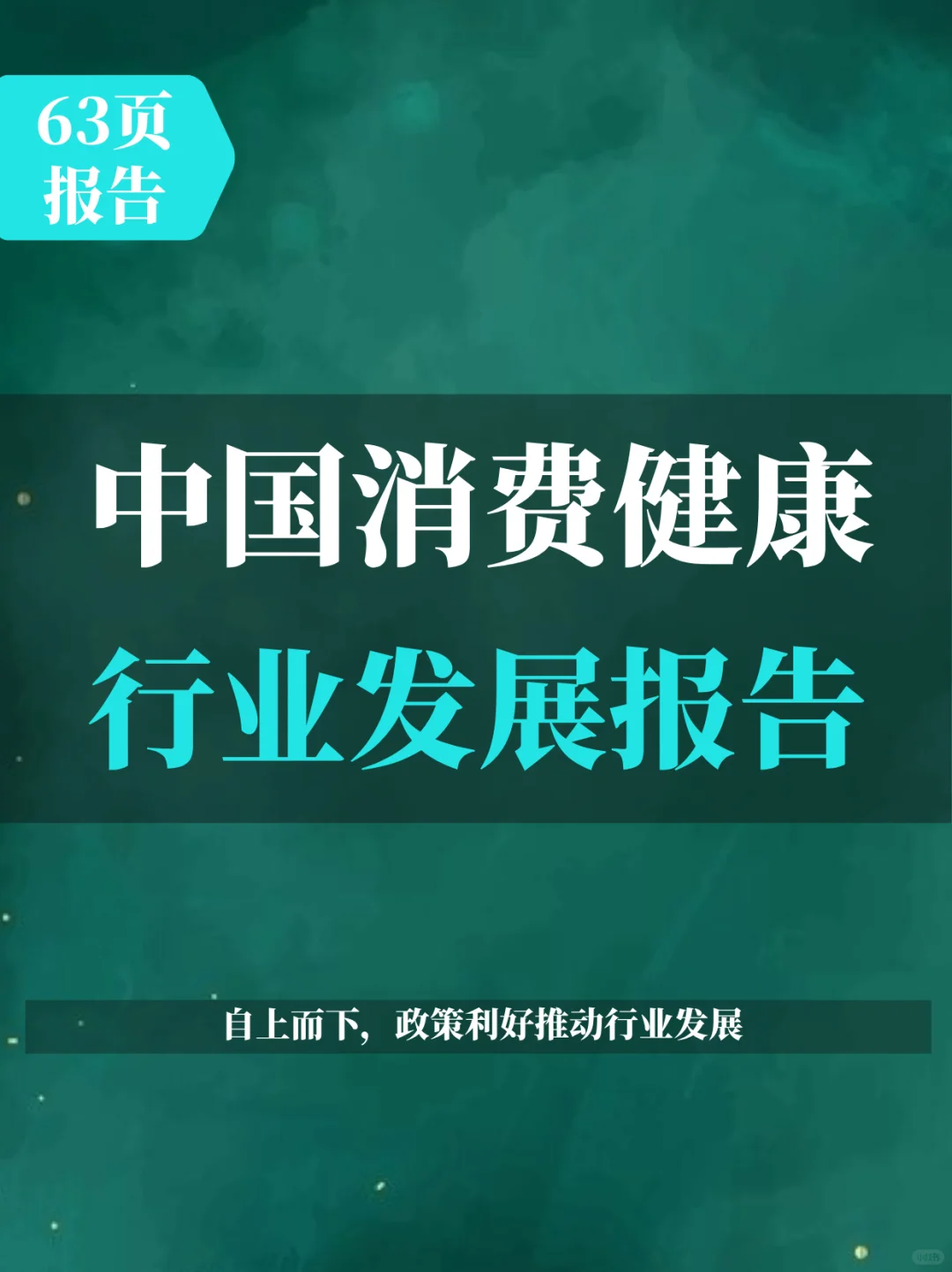 2024年中国消费健康行业发展报告