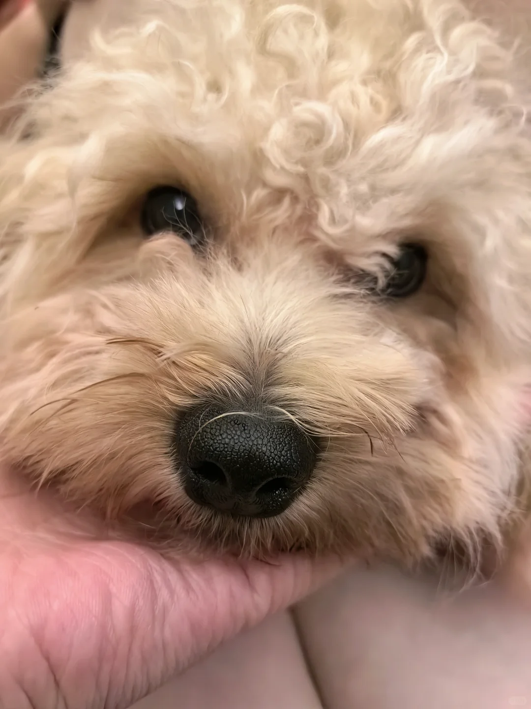 手感一级棒