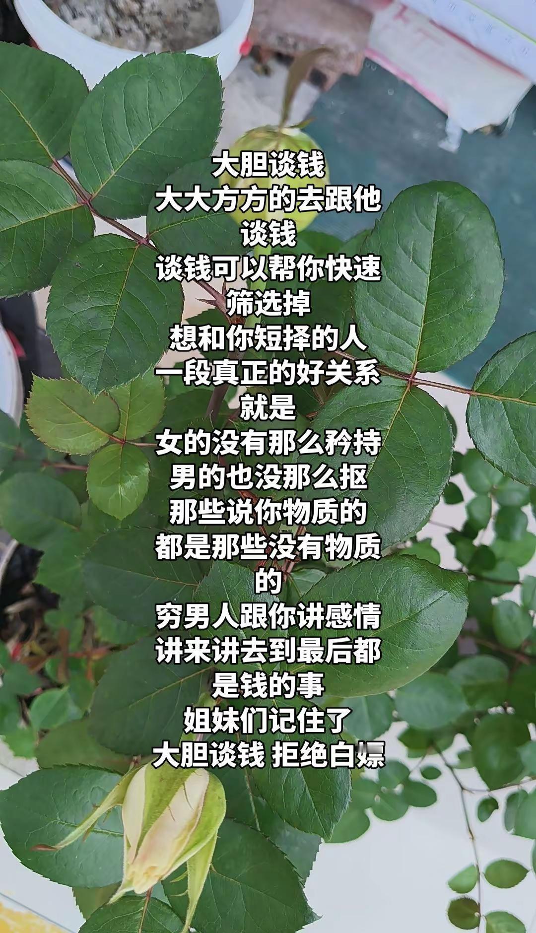 大胆谈钱大大方方的去跟他谈钱谈钱可以帮你快速筛选掉想和你短择的人一段真正的好关系