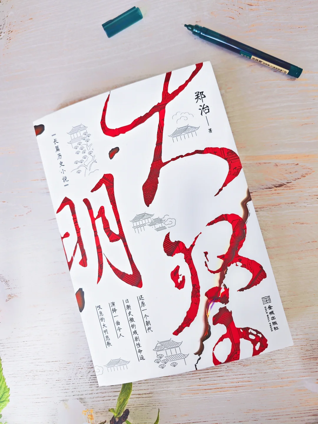 惊叹❗这本书书能不能拍成剧啊！太精彩了！