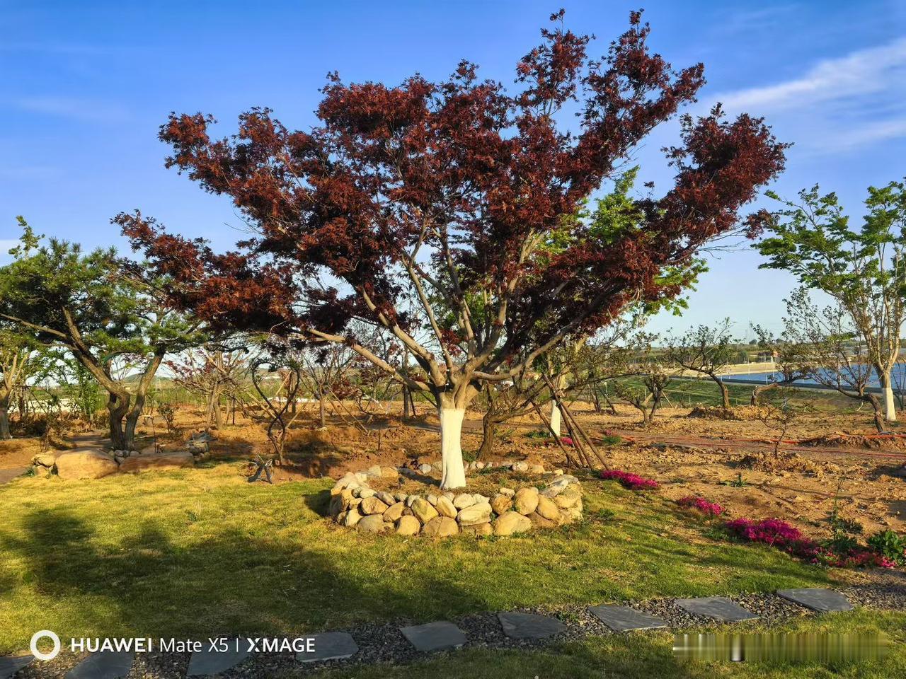 爸爸的姑姑
在青岛的称呼是：老姑
在济南的称呼是：姑奶奶
爸爸的姑姑的丈夫
在青