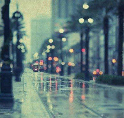 A layer of a cool autumn rain, a valve a