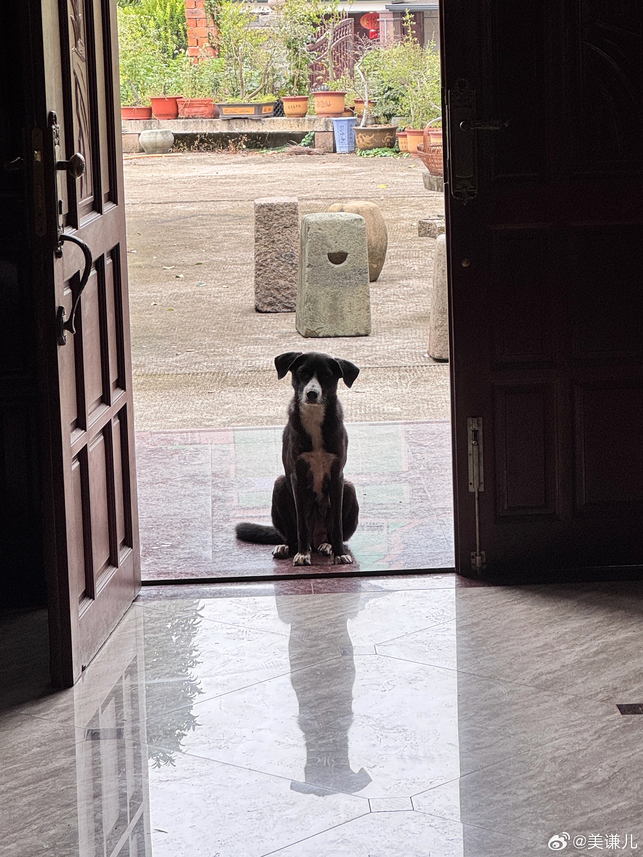 偷鞋小狗🐶手工丑娃娃 ​​​