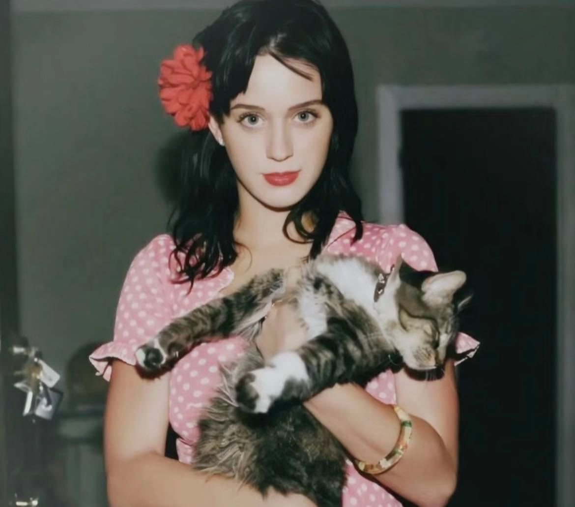 水果姐演唱会太有节目了！拉练式开唱全程高能，复刻MV造型超用心，粉丝扔小熊互动超