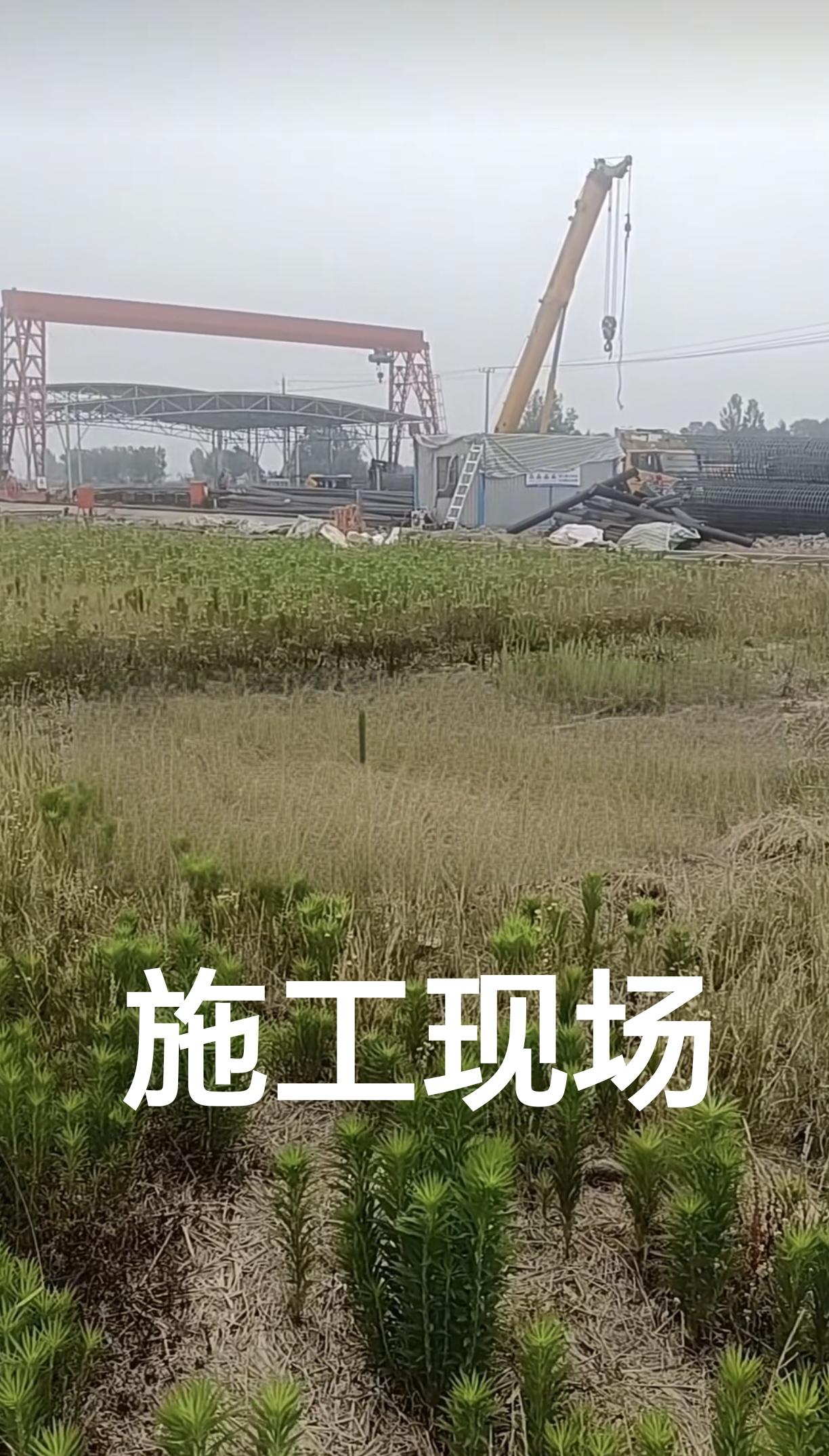［扬淮高速淮南段线位在地图上已全部可见］
       10多天前，扬淮高速明光