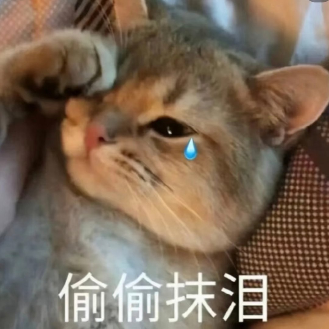 袁冰妍的剧粉真好多！[泪] ​​​