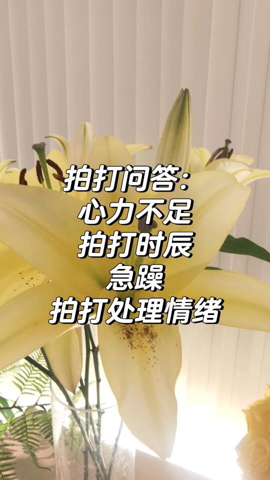 丁师拍打问答：心力不足、急躁、情绪问题