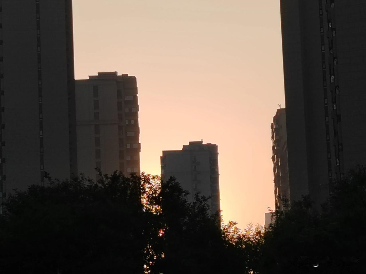 #我拍到的落日瞬间#
       太阳从高楼间缓缓下沉，天边泛起一片温暖的金色