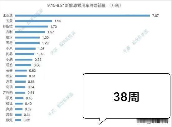 比亚迪 ：7.07万辆；
五菱 ：1.95万辆；
特斯拉 : 1.73万辆；
吉