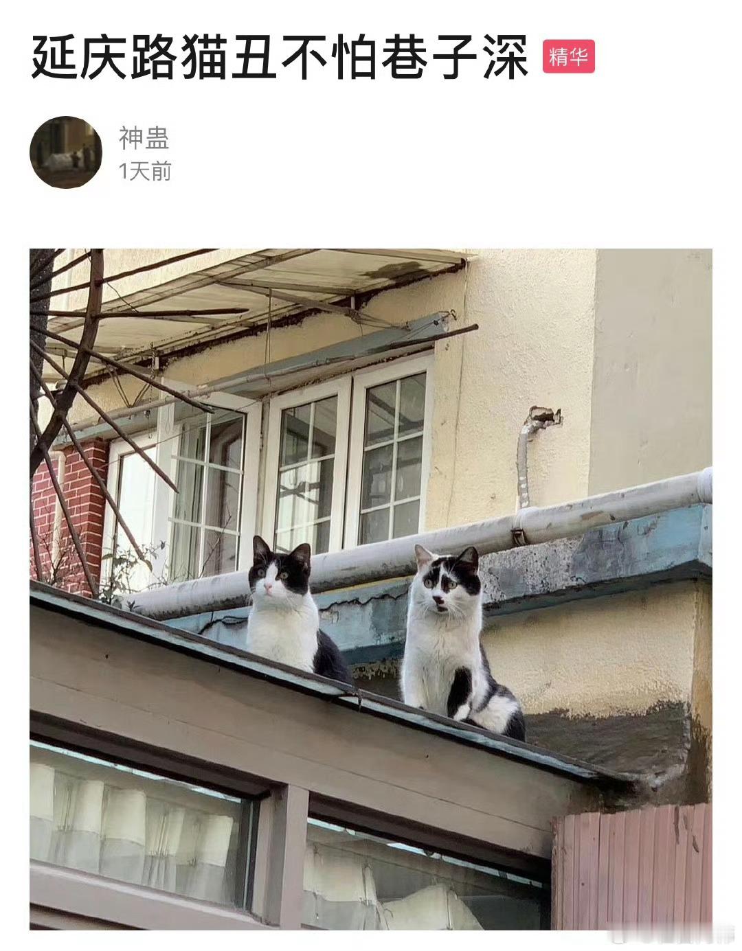 我和我漂亮的朋友 ​​​