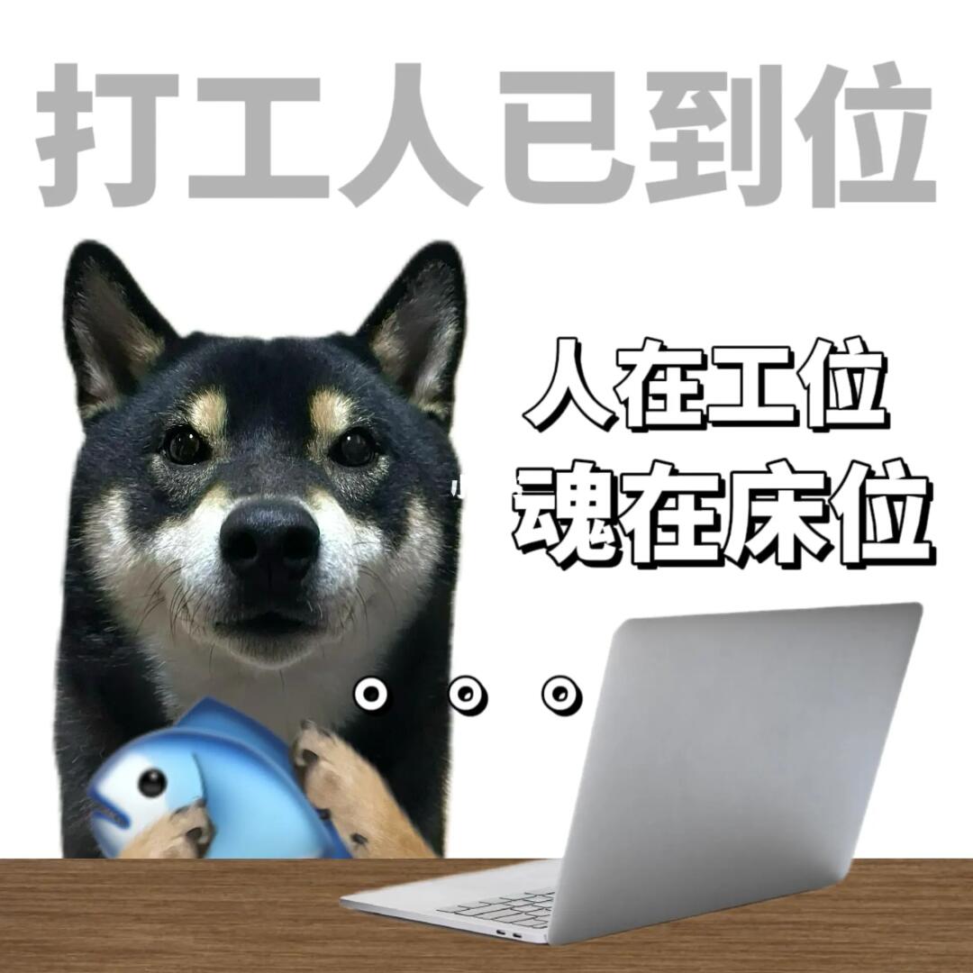 表情包|那个油盐不进的回来上班了👩🏻‍💻