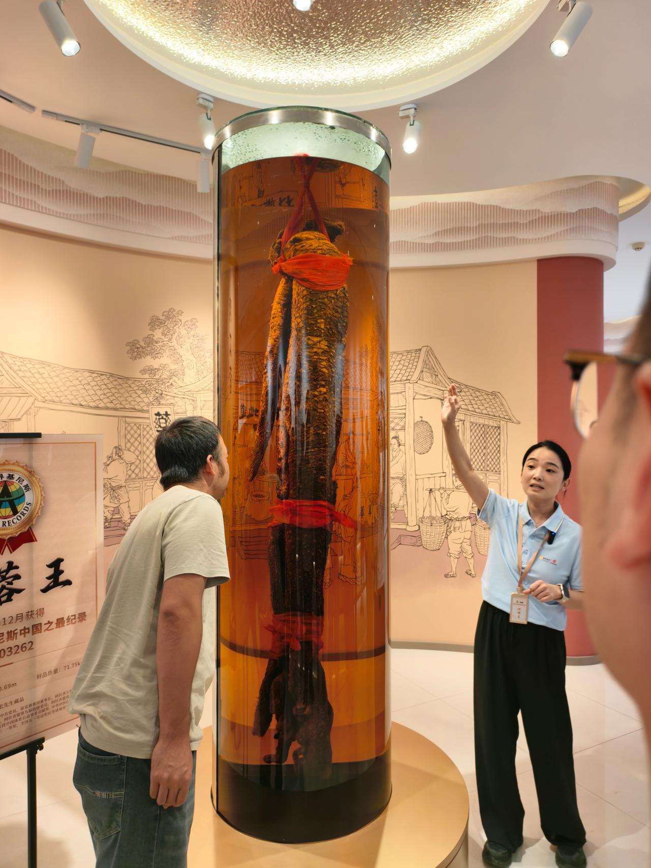 走进阿拉善肉苁蓉博物馆，仿佛打开了一部关于“沙漠人参”的生命传奇。博物馆通过仿沙