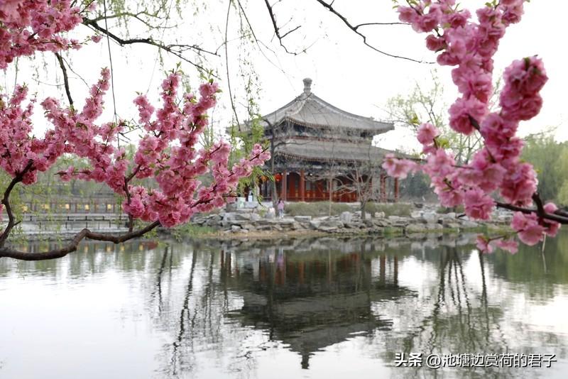 马年春日，拜年与踏青都是不可错过的美事。天南地北大拜年，各地民俗风情各异。东北人