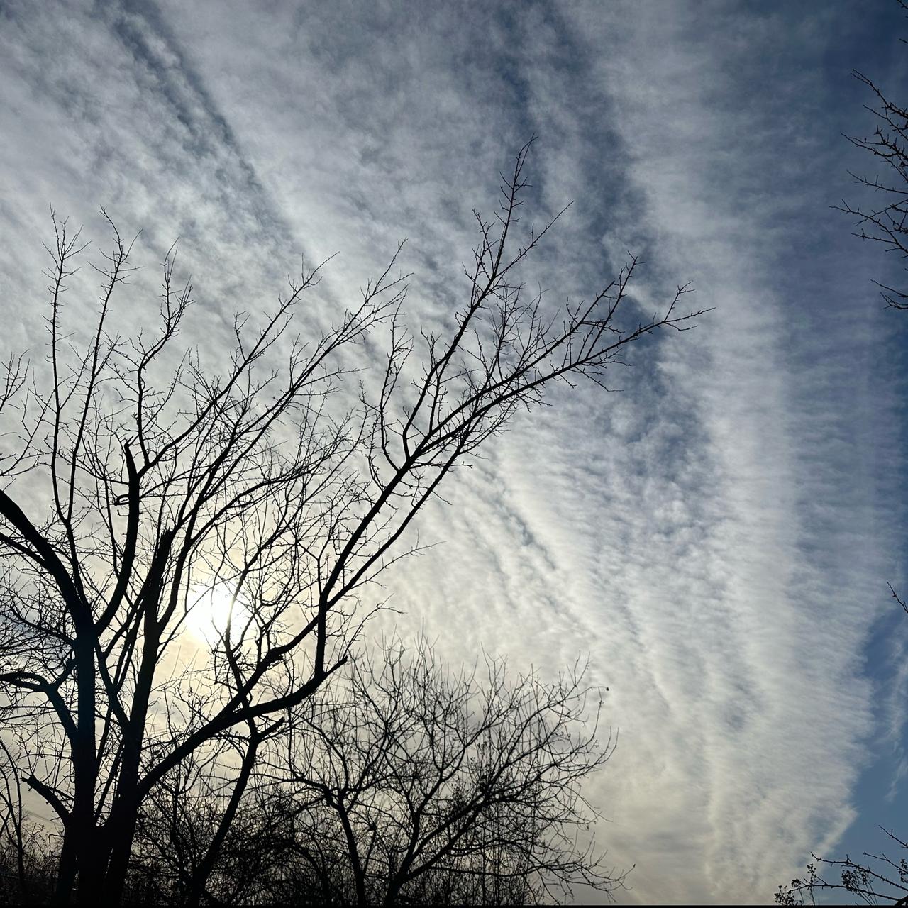 近日，有消息显示，刚刚过去的2025年全国平均气温达11.0摄氏度，再创1961