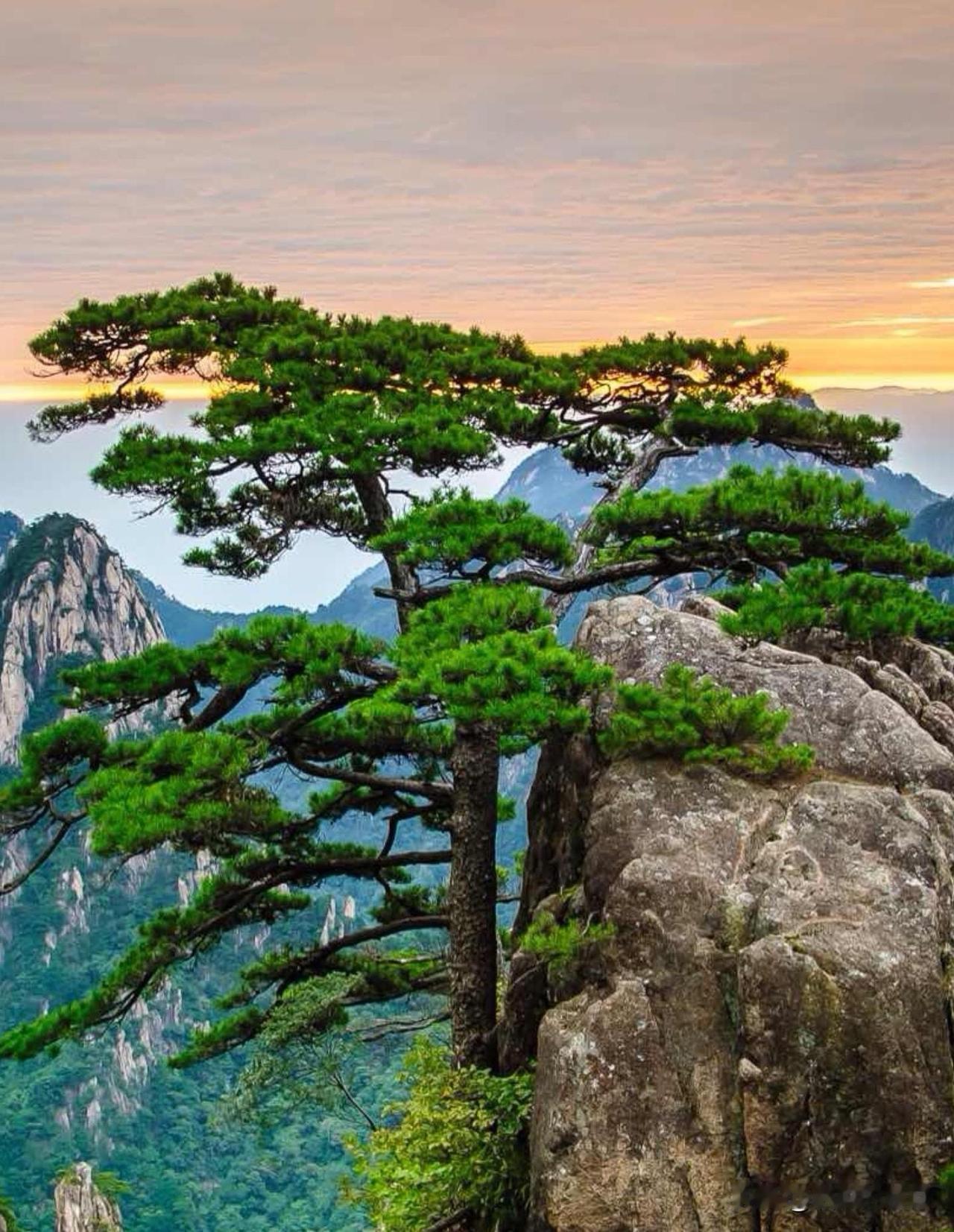 还有一半没去过，
余生还有许多值得期待的旅程！

最新报道中国世界遗产总达到61