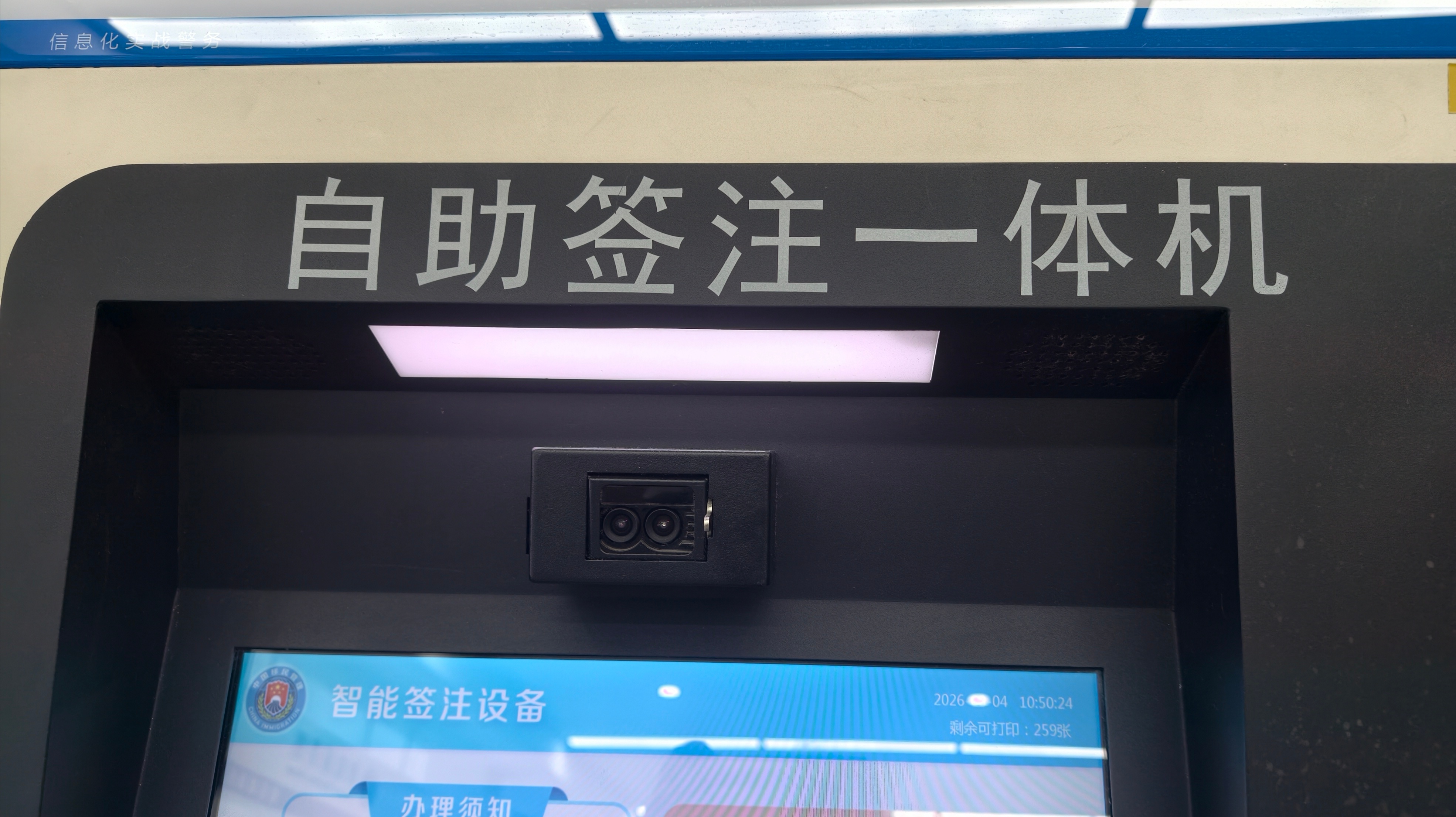 已驯服 