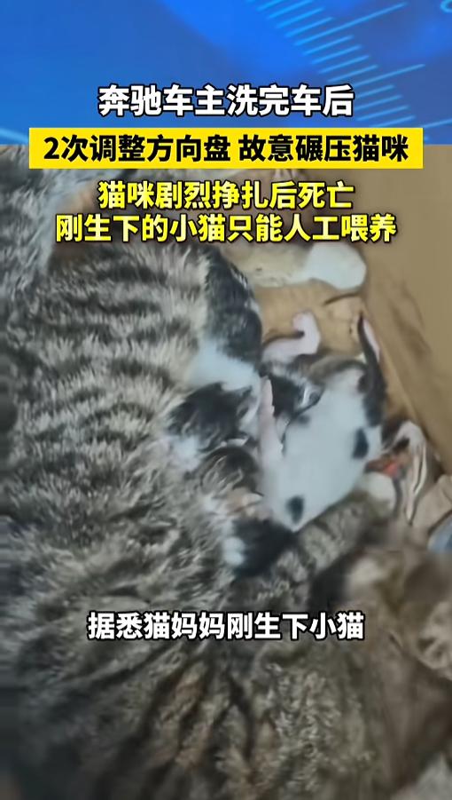 “人的恶是藏着骨子里的！”5月21日报道，广东，一位奔驰车主到店内洗车，洗完车后
