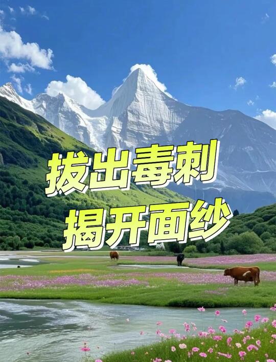 吃苦太多的女生心里都有一根毒刺头上都有一