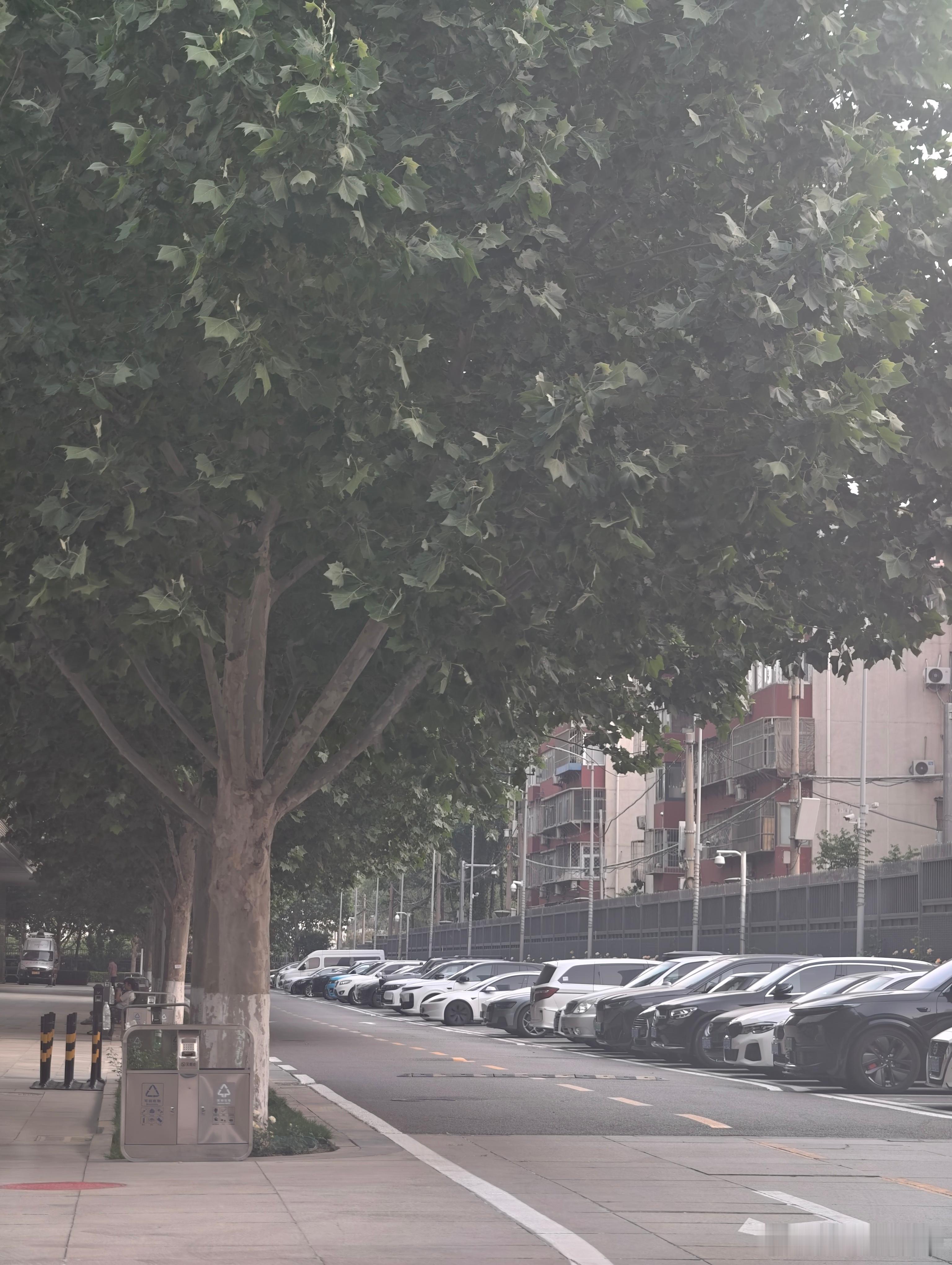 已到BRTV机构北京-8.5→-6.5大概率一场恶战 北京·BRTV北京广播电视
