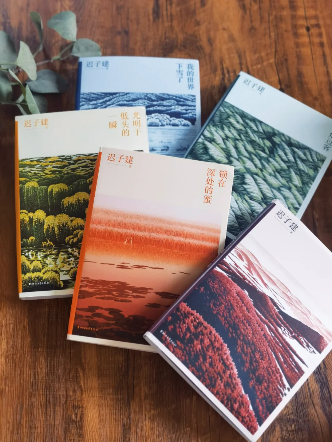 想给孩子看的一套书，我自己却爱不释手‼️