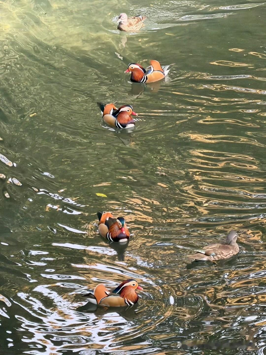 现在这个社会跟以前真不一样了，物价飞涨，房贷车贷、孩子学费、日常开销样样都是钱，