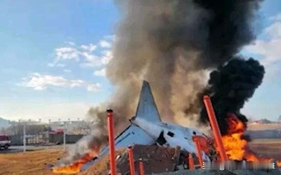 韩国客机出事了，已经造成28名乘客死亡，没有中国乘客。此飞机遇到鸟群，起落架放不
