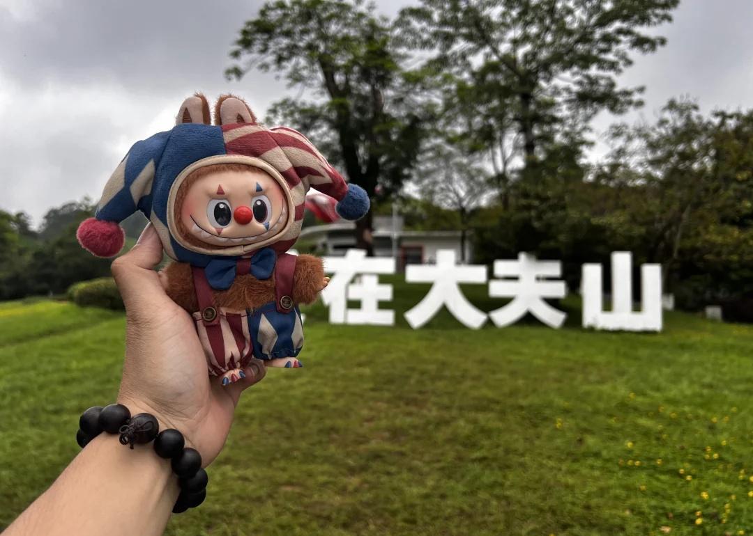 第一次来大夫山怕了怕了
像个苍蝇一样没啥目的性[害羞]而且还下雨
直接北门转南门