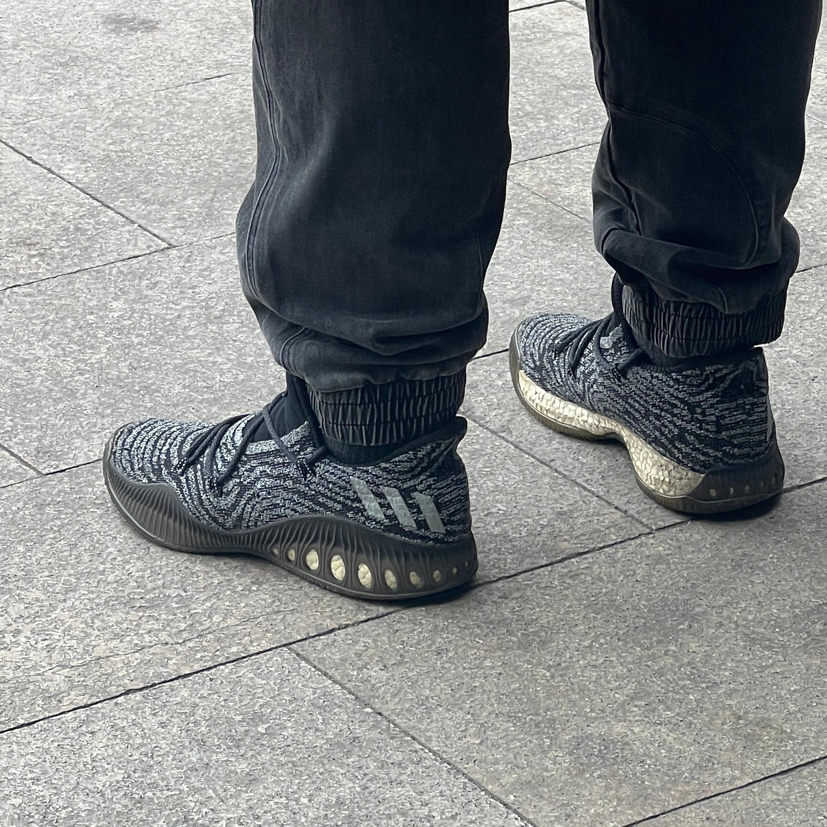 校园偶遇，现在很少见了啊 北京·北京外国语大学西校区