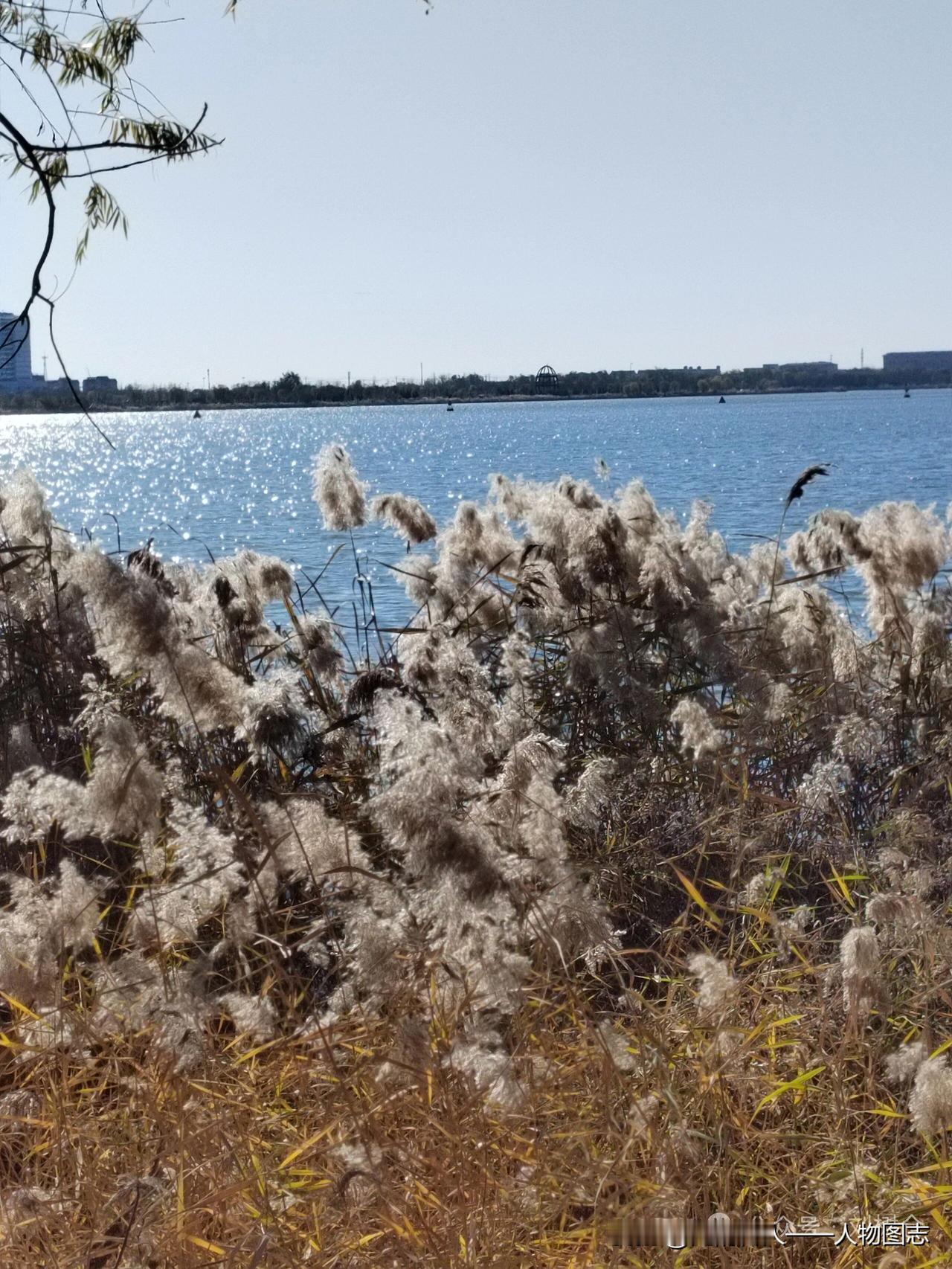 冬日生活打卡季