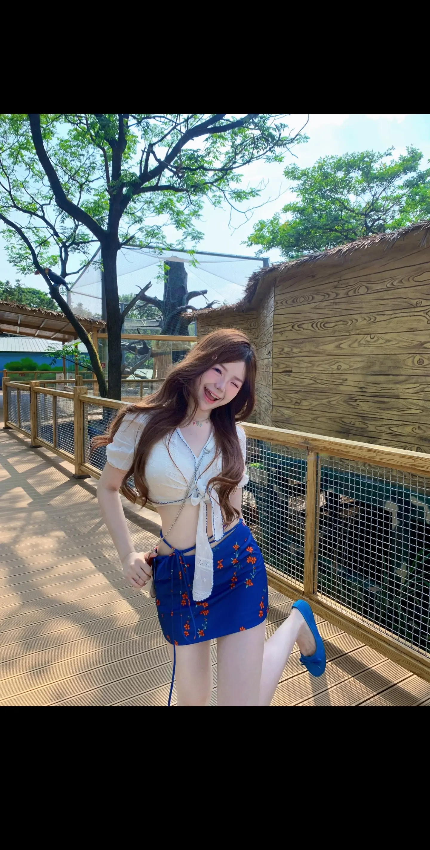 动物园里有什么🦕🐘🦒🐏🦩🐾动物园