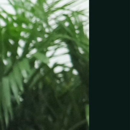 每日一善 ❤️每日一善❤️阳光信用善良是一种美德，善良是一种远见，善良是一种自信