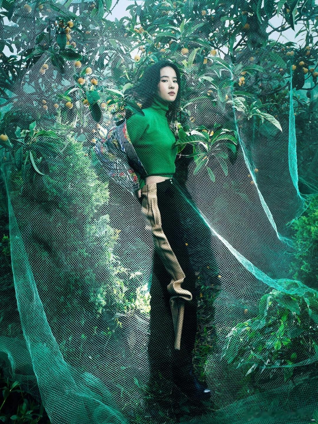 #刘亦菲[超话]# 如果我不说有谁能知道她已经三十几岁了呢，这到底和十六七岁有什