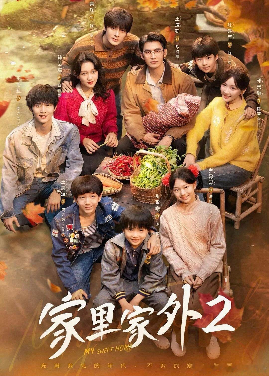 2025年播放量最快破10亿短剧《家里家外》真的太猛了，3天破十亿简直不是吹的，