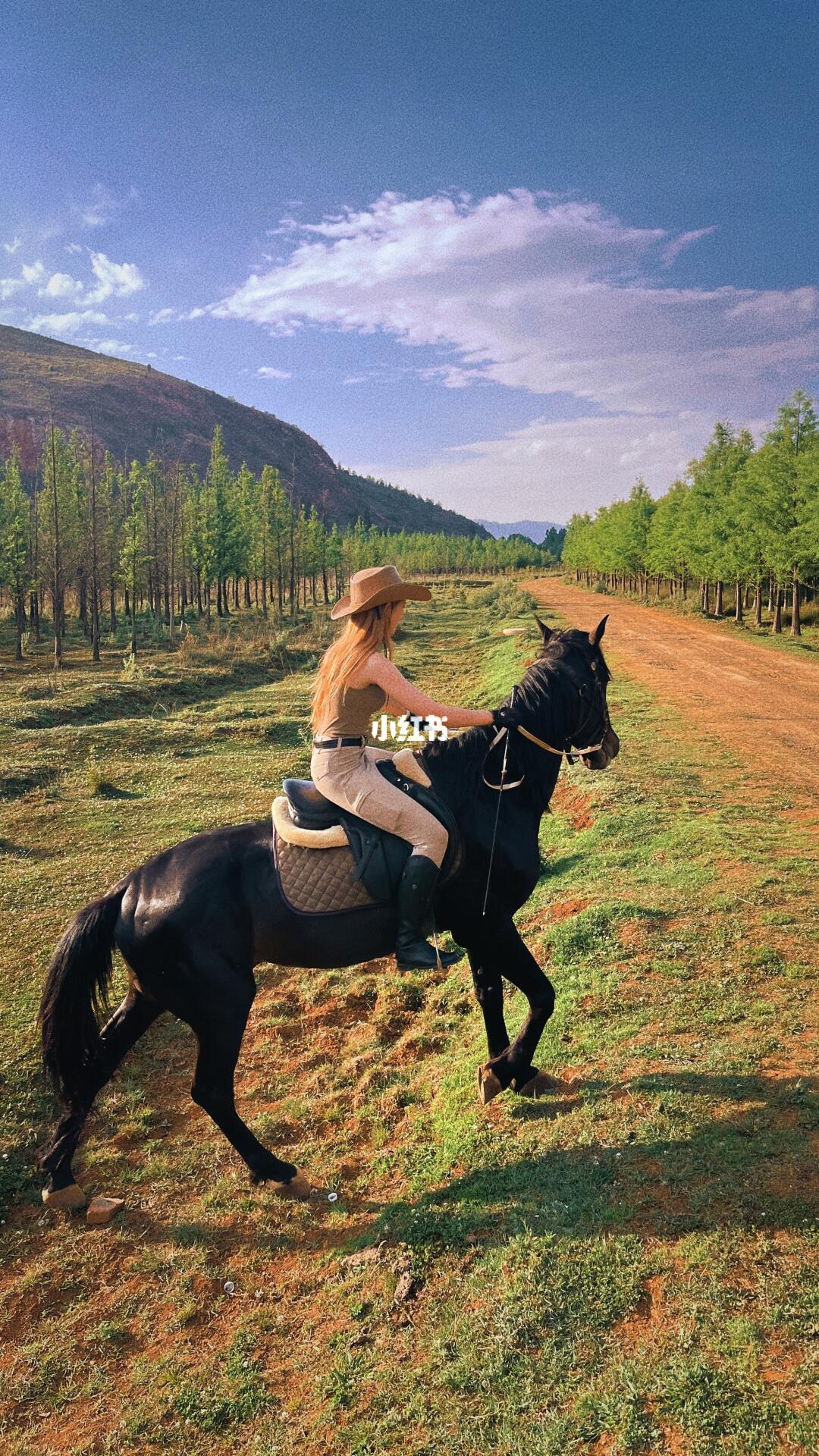 昆明 沉浸式骑马