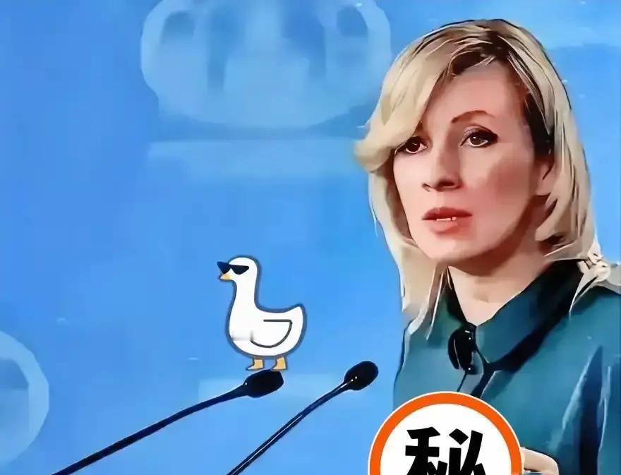 果然被我猜中了

俄罗斯媒体抛出一句硬话：若东方大国一味退让，跟风挑衅的势力只会