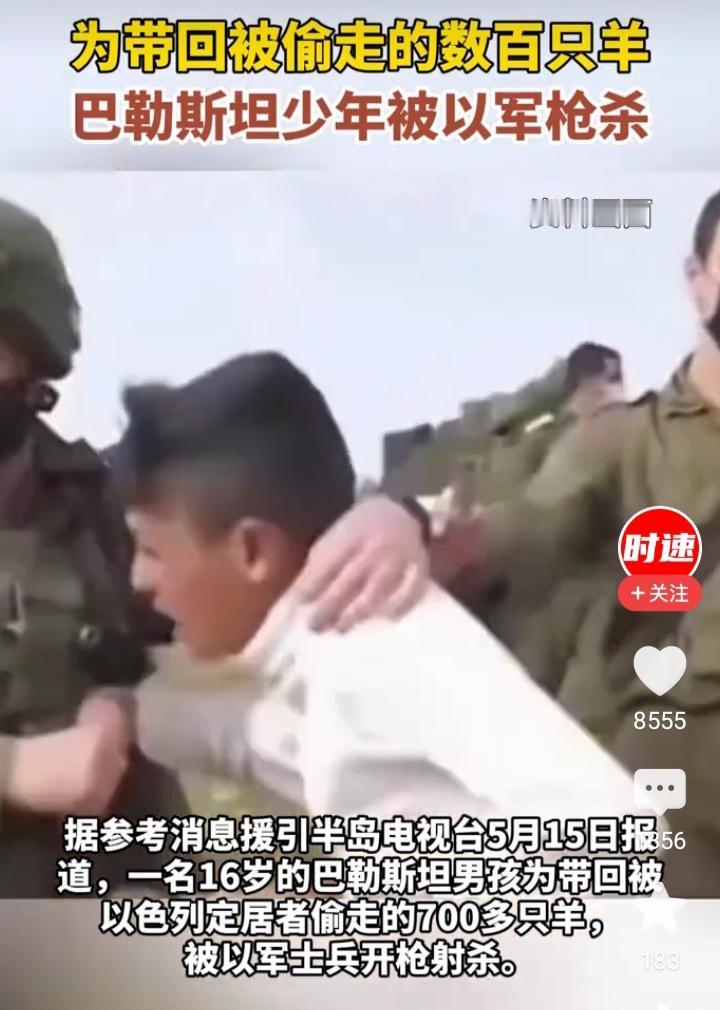 只是想追回一家人赖以生存的700只羊，16岁的巴勒斯坦少年优素福·阿里·优素福·