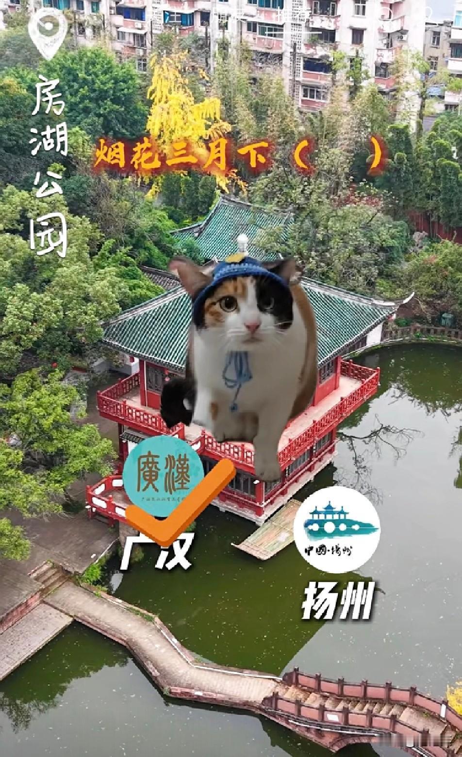 笑疯

广汉文旅也太会整活了！

居然让一只叫萝卜纸巾的猫咪当“文旅体验官”，挑