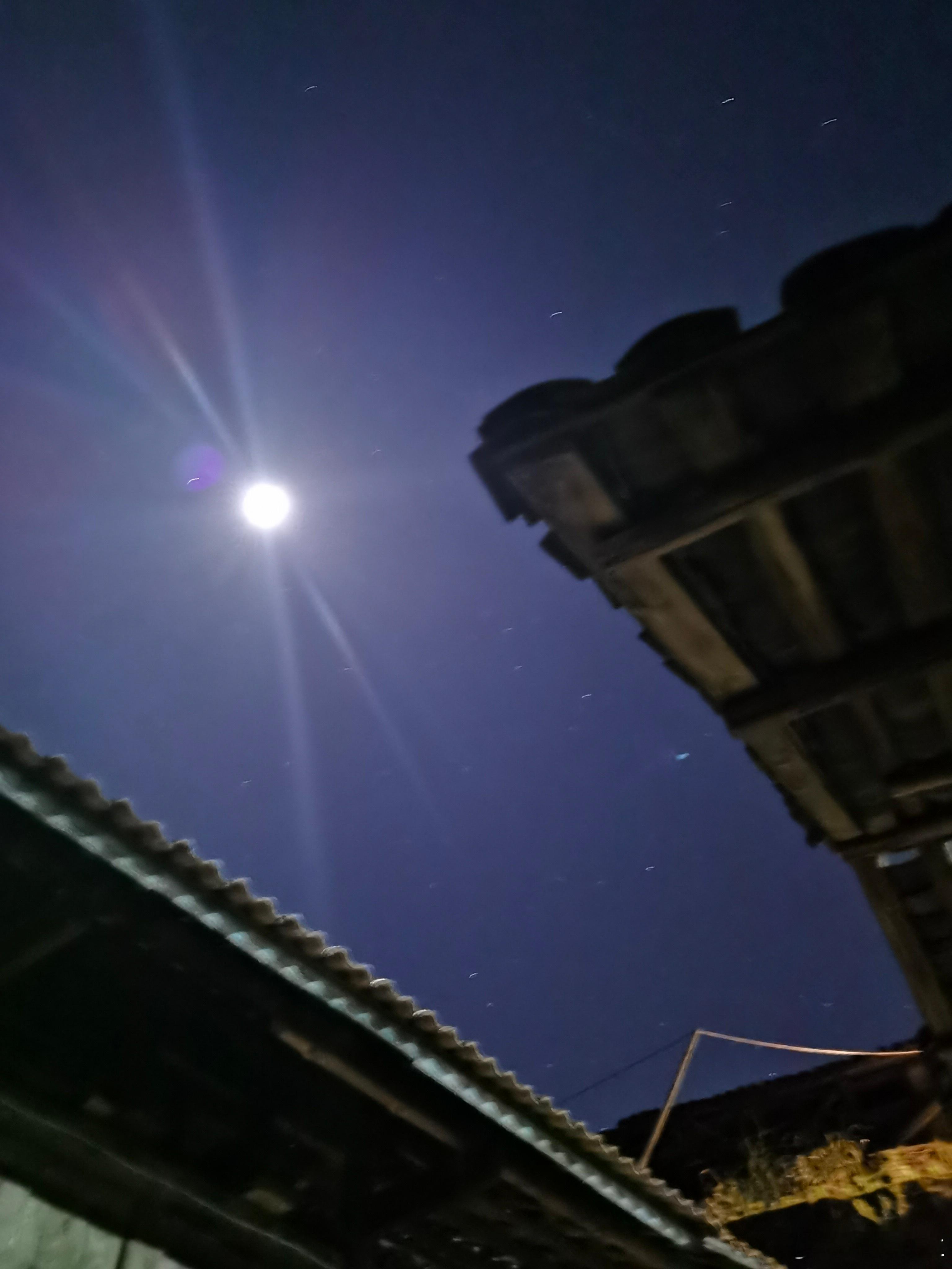 乙巳冬日记岁行冬令，三湘木叶尽脱。本欲携子月登岳麓、泛橘洲，效东坡赤壁之游。然闻