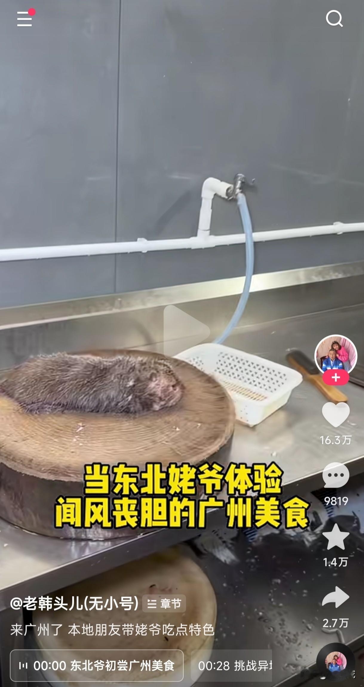 在广东老鼠上桌是什么菜名？
不知道这是专门喂养的老鼠，还是那种田间地头人人喊打的