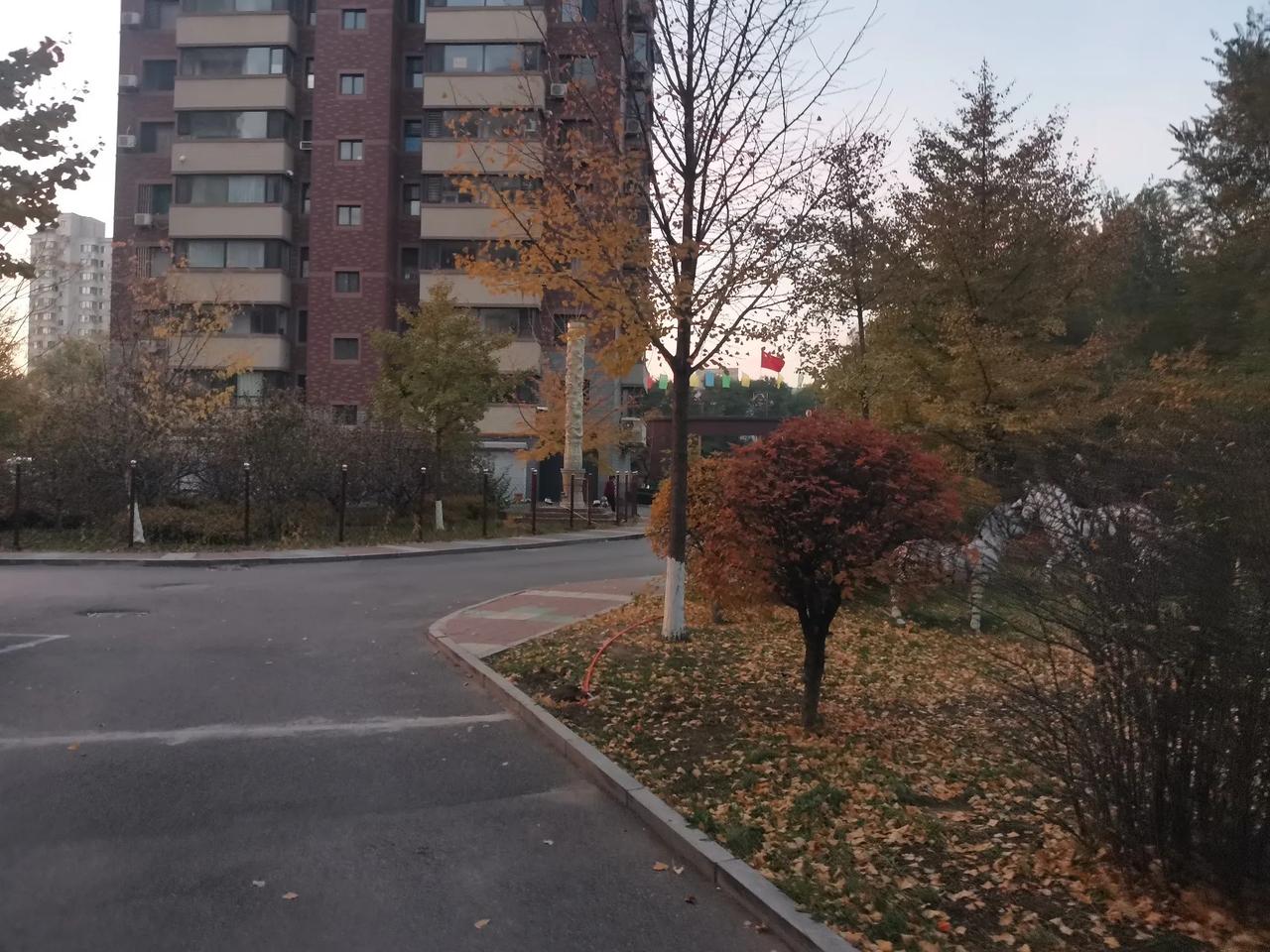 “刑不上大夫”，意思是上大夫犯罪是不经过普通人的审判和刑罚程序的，而是由皇帝根据