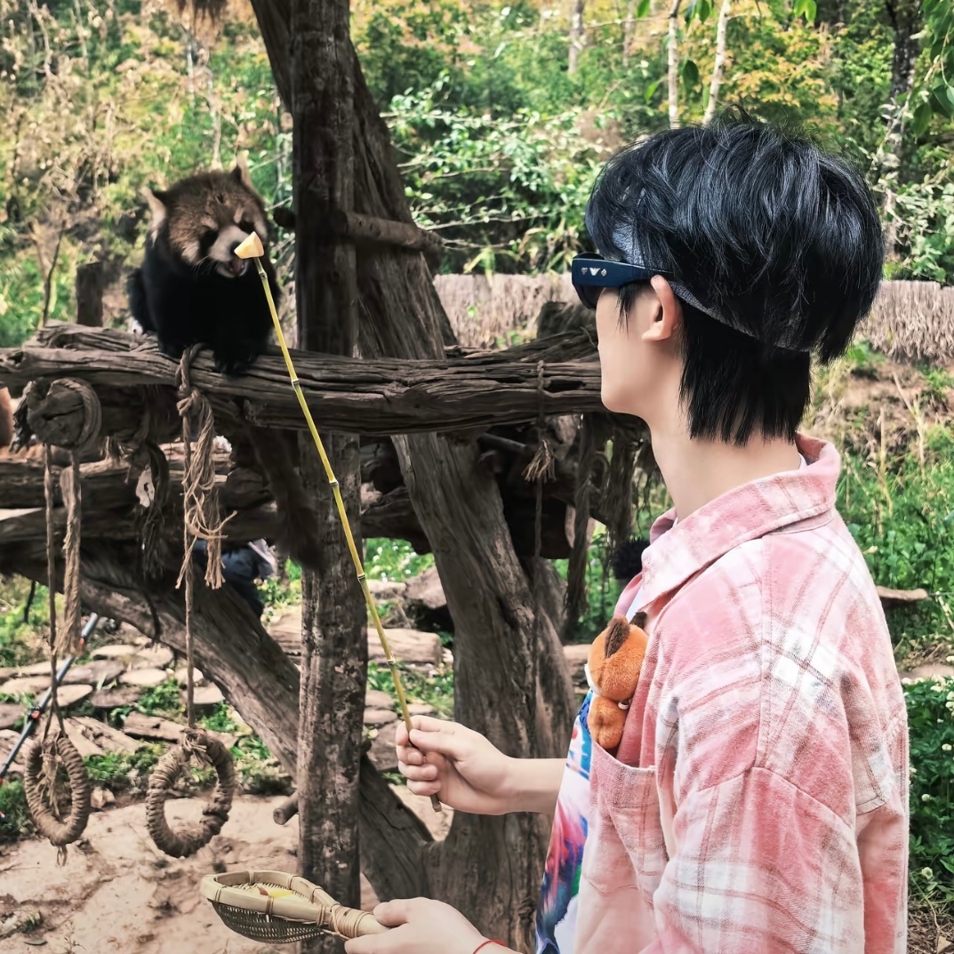 小狐也在看小熊猫🥺 