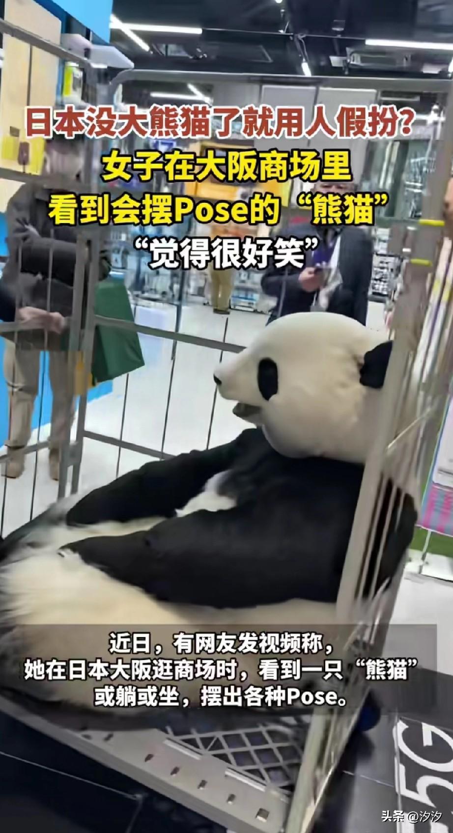 有女子在大阪逛街，
居然发现一商场里面有只熊猫，
这只熊猫憨态可掬，
简直和真的