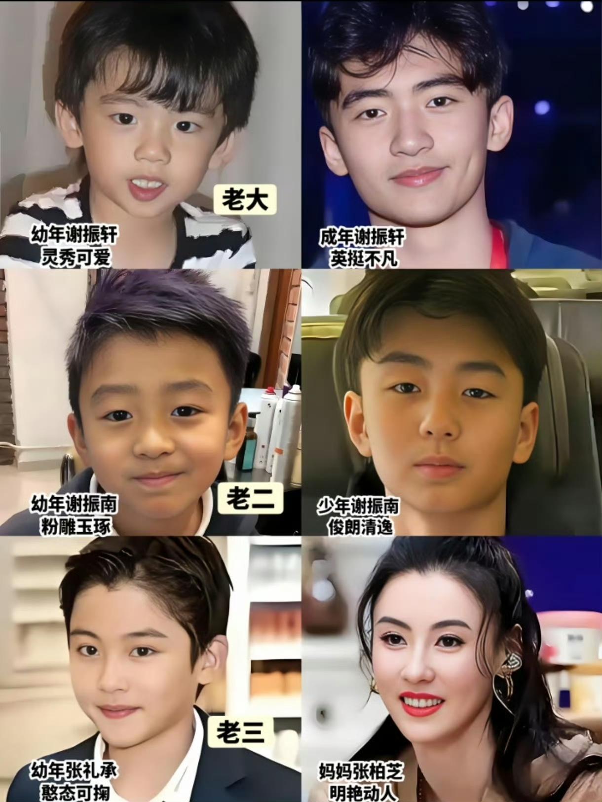 张柏芝的性格是挺豪放，
她在节目上公开放言要生到不能生为止，
这是计划四胎了？