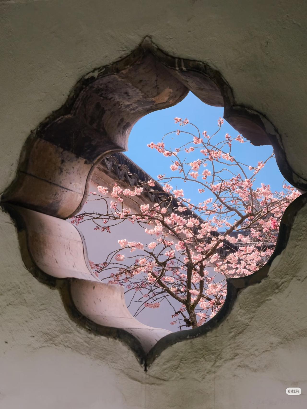 苏州的春天是万万次春和景明

春天总要来一趟苏州吧
园林中百花争艳 春风轻拂
江