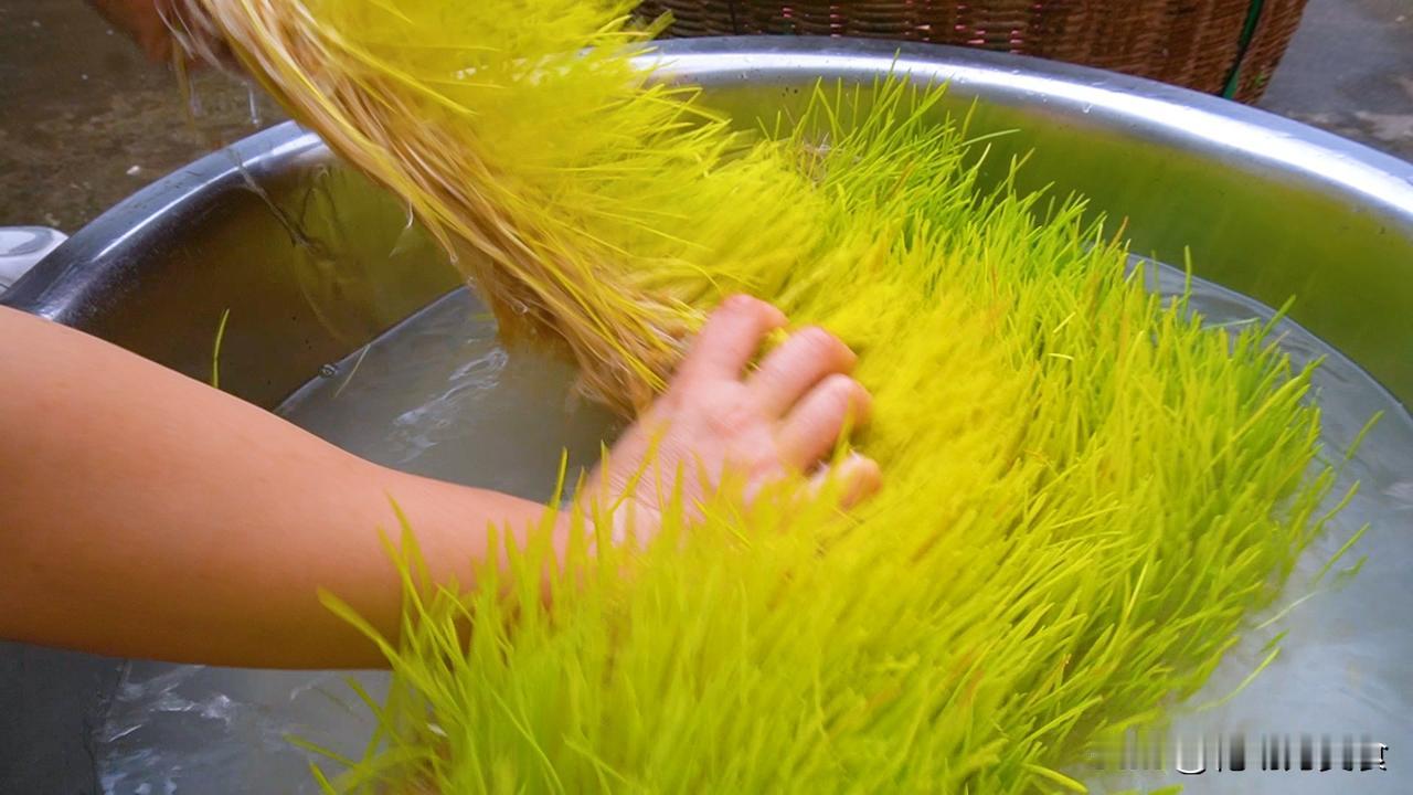 精选的麦粒经7天发芽，与糯米同酿成醴。不用半点蔗糖，单靠谷物本身的甘甜，在大陶缸