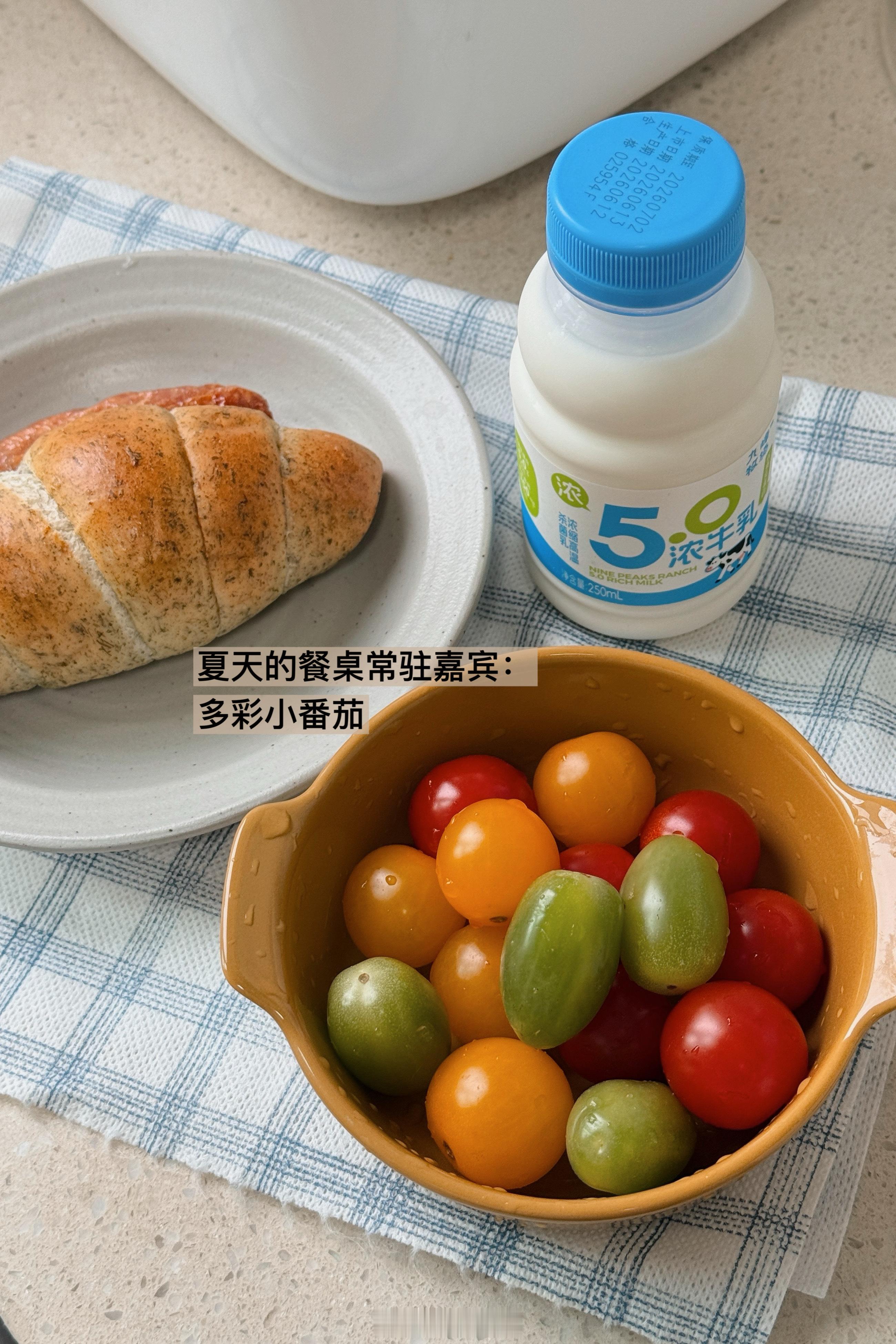 🥔Plog 267记录我所擅长的生活📝 