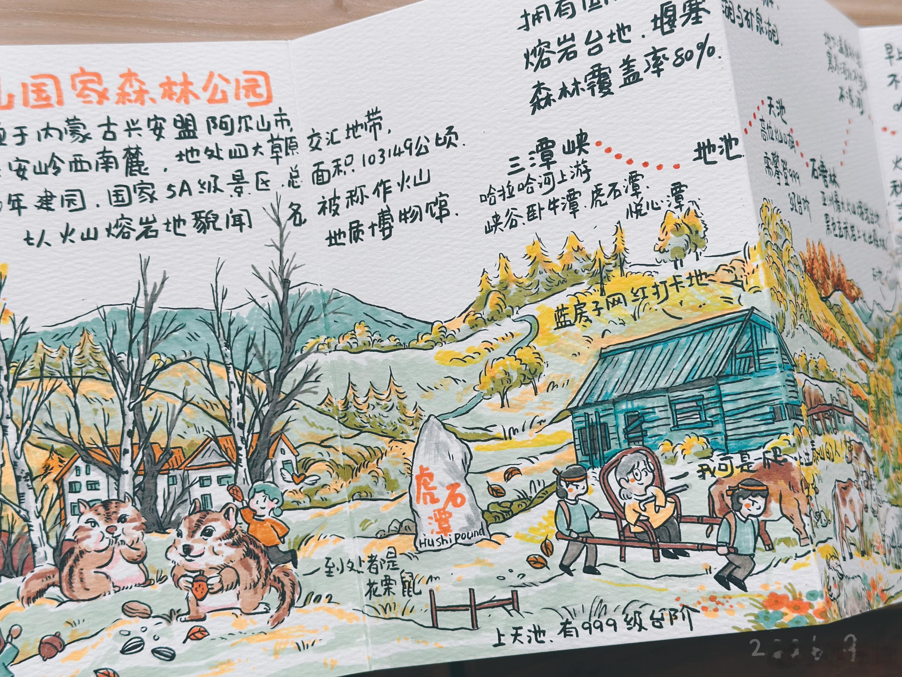 2026秋阿尔山手绘行 over。 ​​​