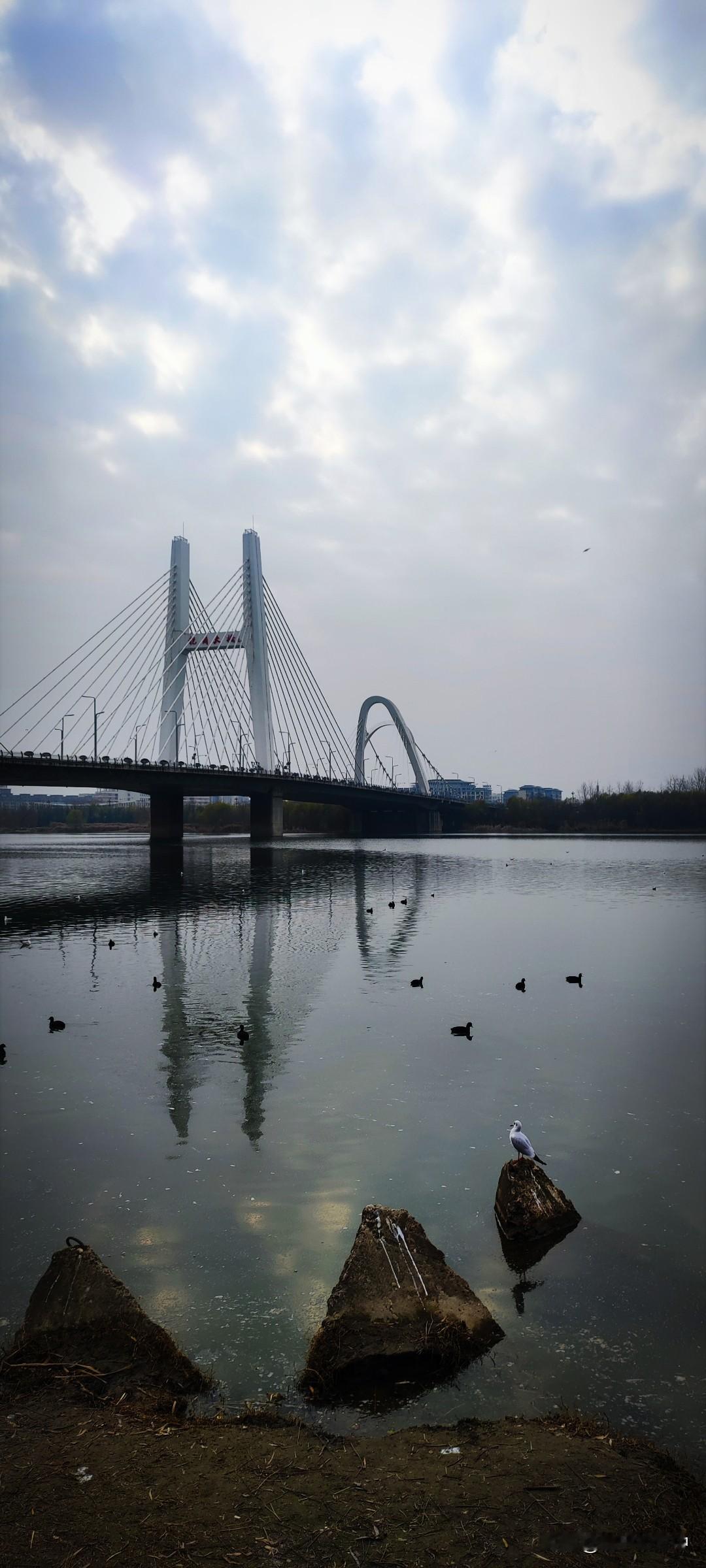 晒图笔记大赛云层还是有些松动的，日光似乎已经找到突破口了。江鸥望着汉江里游弋的野